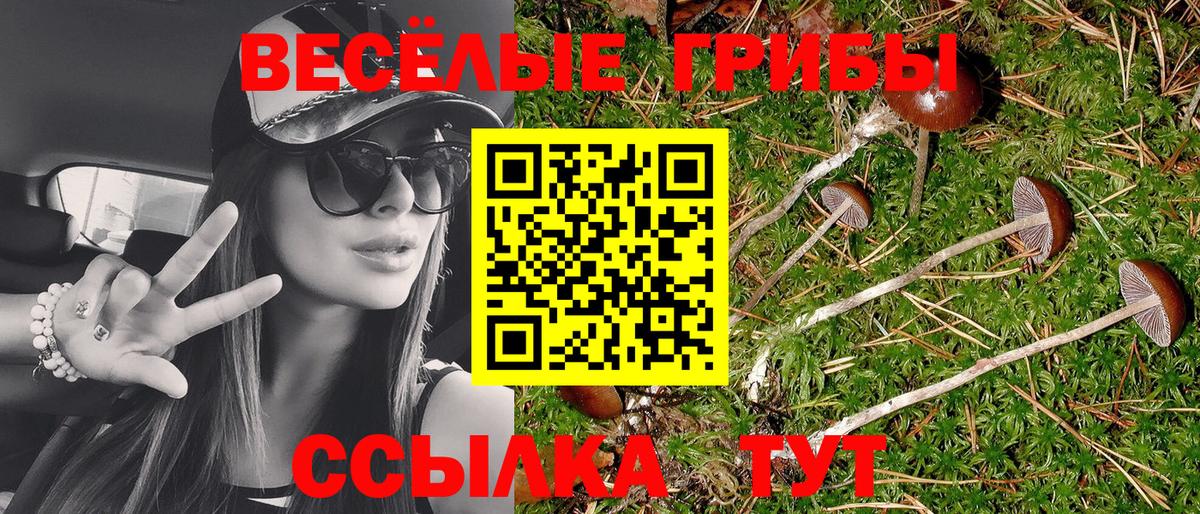 Псилоцибиновые грибы мицелий Черкесск